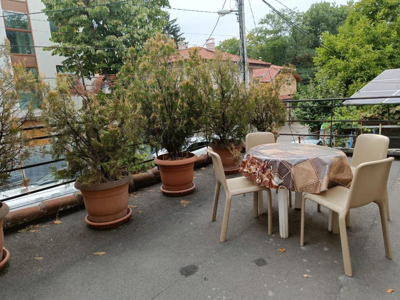 10 Coins Hostel & Tours Σόφια Εξωτερικό φωτογραφία